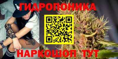 молекула духа Владимир
